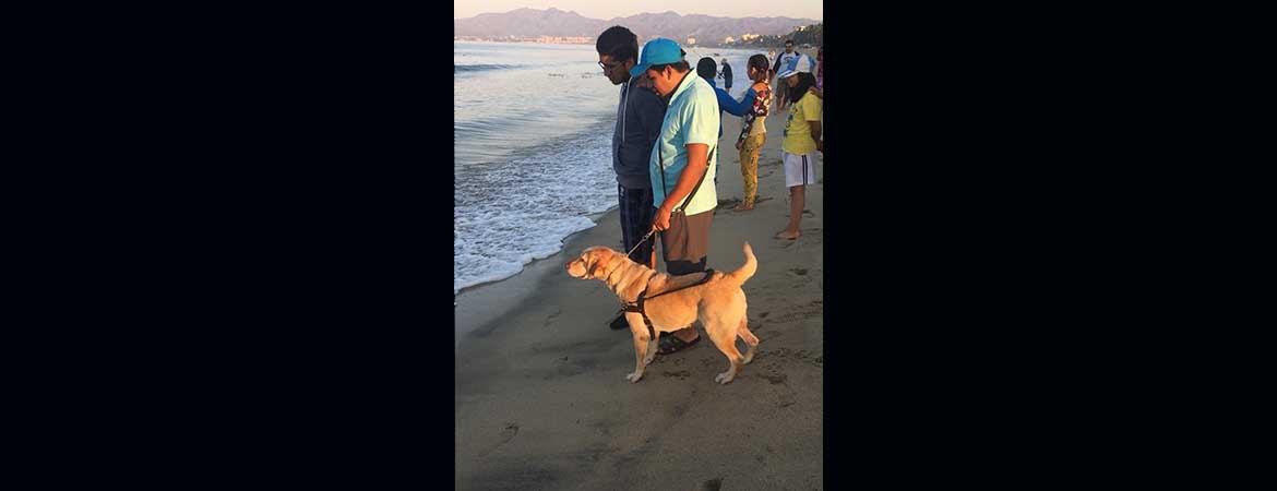 Viajero con perro guía